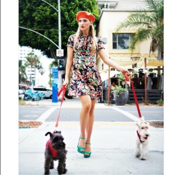 DALIA MACPHEE Short Sleeve Tie Neck Floral Mini Dress with Lace Trim - Picture 5 of 14